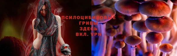 герыч Дмитров